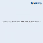 아들의 편지